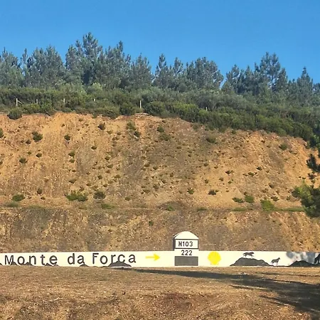 Casa Do Tempo Espinhoso *