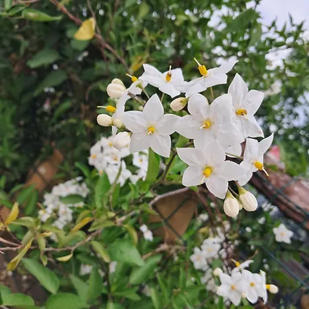 Casa Do Tempo Espinhoso Casa de Férias Vinhais